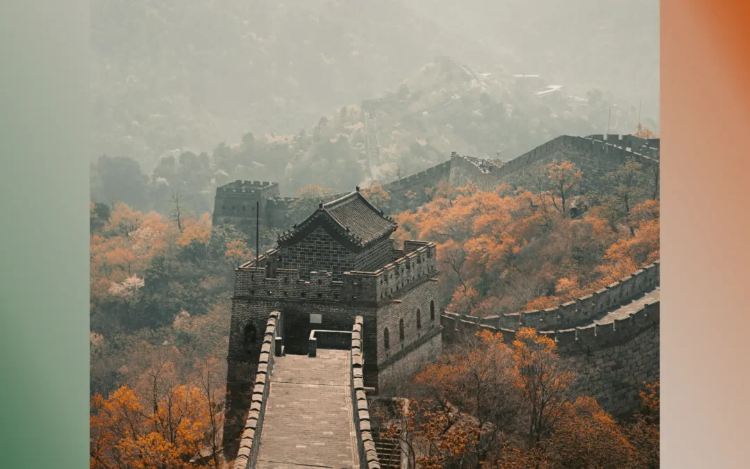 Un enfoque holístico para la medicina tradicional china